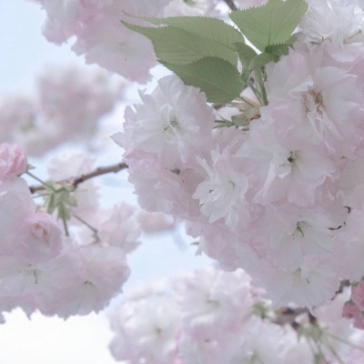 兽设海洋场景设计福瑞交流群